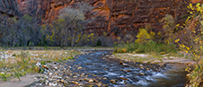 Zion And Bryce National Parks Photography Workshop